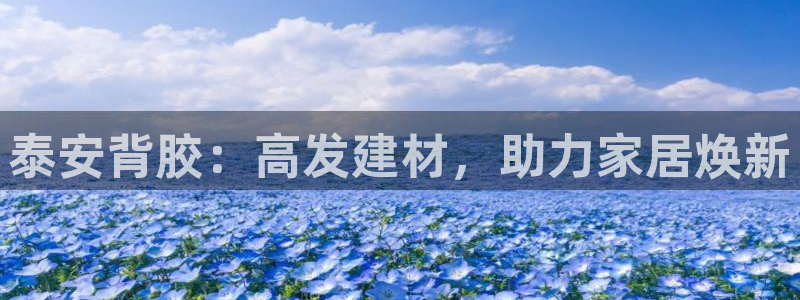 杏鑫招商总代