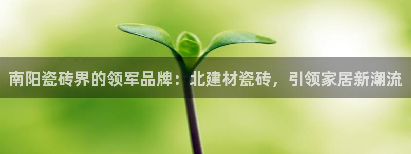 杏鑫平台线路测速