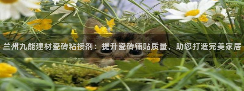 杏鑫平台怎么样黑钱吗