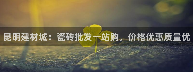 杏鑫官方平台怎么样啊