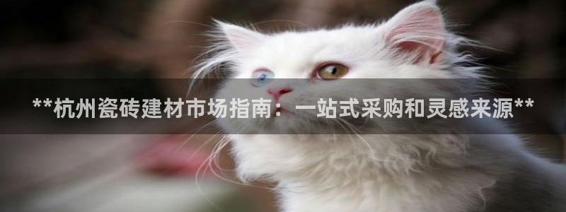杏鑫娱乐平台
