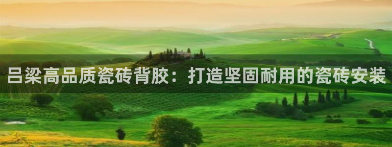 杏鑫有亏损返点吗