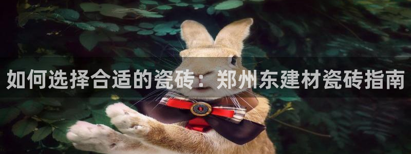 杏鑫官网最新信息新闻
