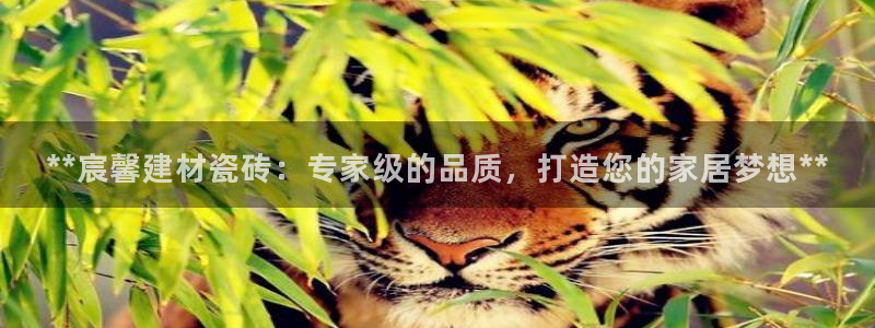 杏鑫官网最新信息新闻