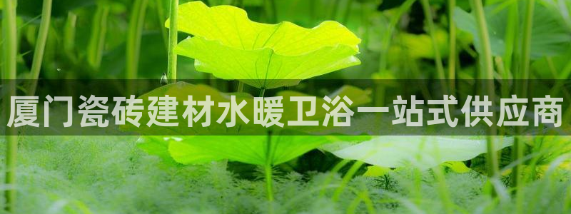 杏鑫官网最新信息新闻