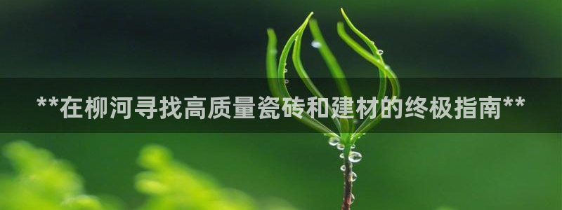 杏鑫平台怎么样