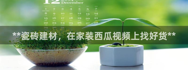 杏鑫平台怎么样知乎