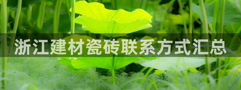 杏鑫平台平台娱乐