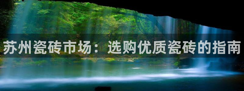 杏鑫娱乐开发团队