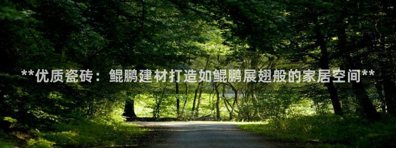 杏鑫注册登录代理