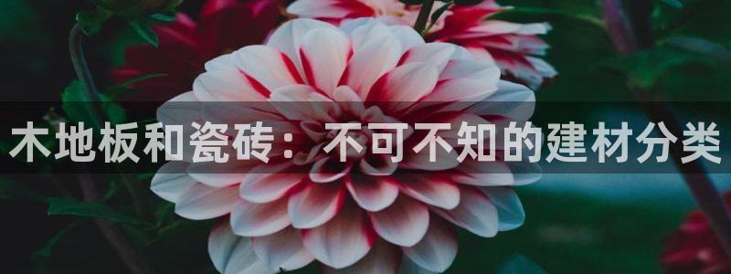 杏鑫官网注册账号密码是什么