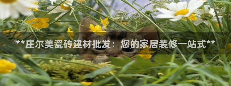 杏鑫娱乐靠谱吗
