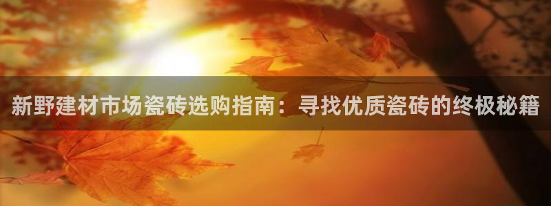 杏鑫平台测速