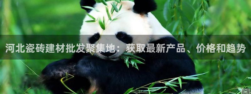 杏鑫官方平台怎么样