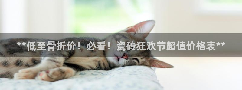 杏鑫平台代理注册多少钱一年