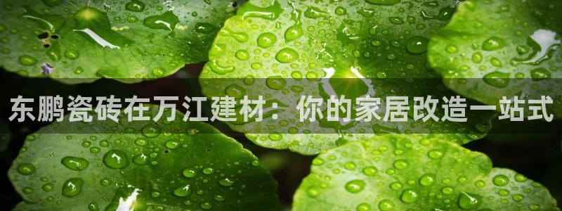 杏鑫平台招商怎么样