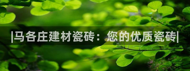 杏鑫娱乐官方网站客户端