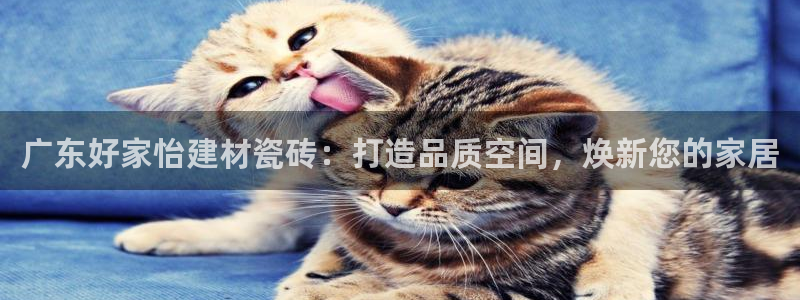 杏鑫平台代理注册登录不了怎么办呀视频