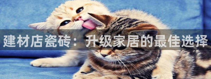 杏鑫注册登录地址