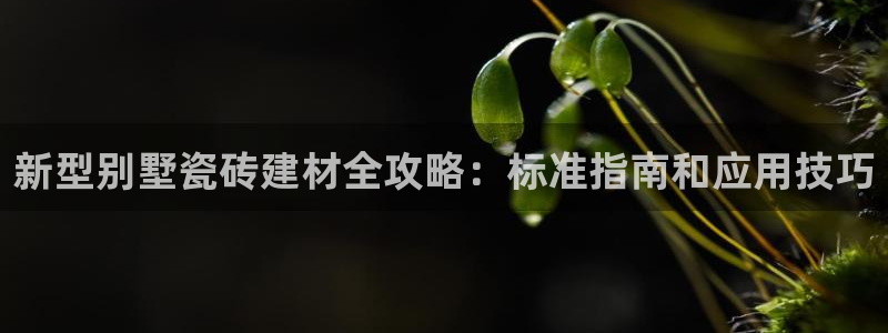 杏鑫娱乐平台登录注册网站