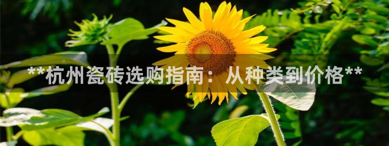 杏鑫官方平台怎么样