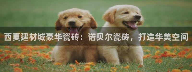 杏鑫平台野马联盟