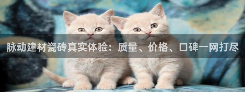 杏鑫平台提供