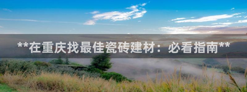 杏鑫平台招商电话