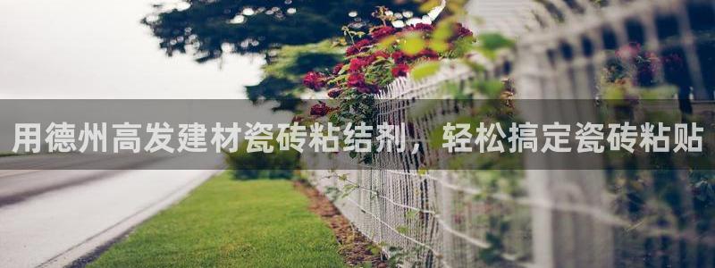 杏鑫平台注册网址