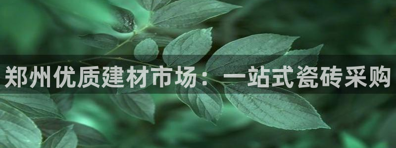 杏鑫平台是黑平台吗