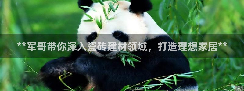 杏鑫平台野马联盟怎么样