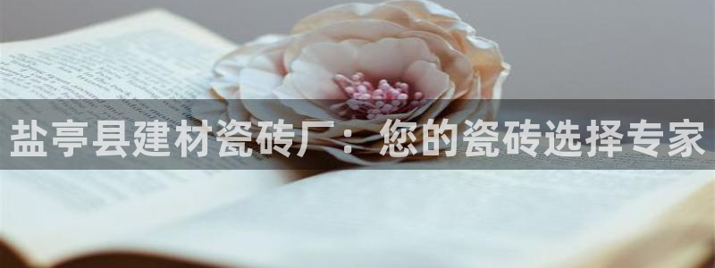 杏鑫平台怎么样黑钱吗知乎推荐