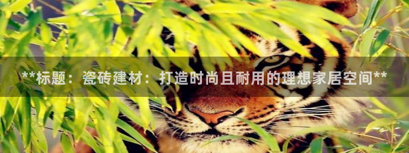 杏鑫招商总代
