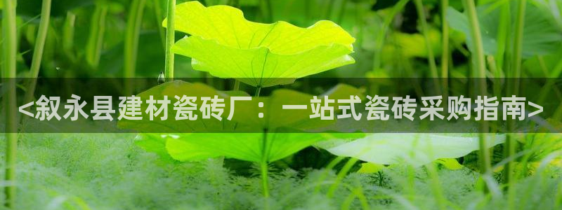 杏鑫娱乐官网首页