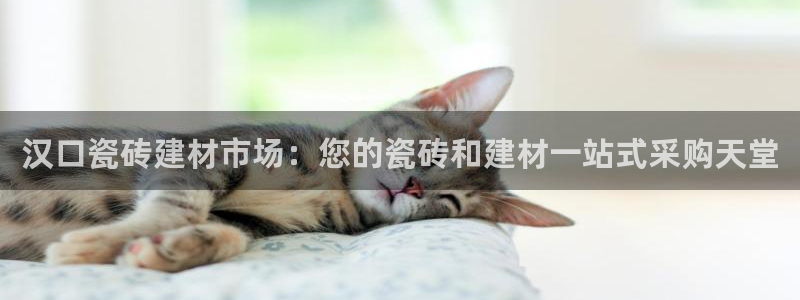 杏鑫官网最新信息新闻报道