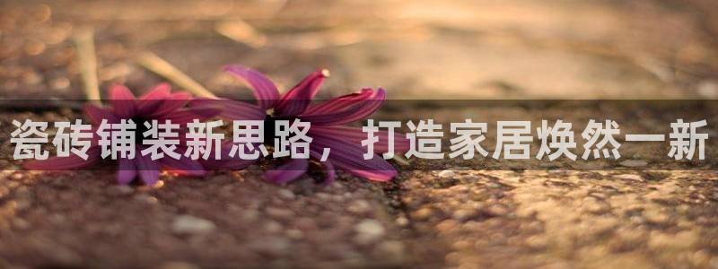 杏鑫娱乐负责人