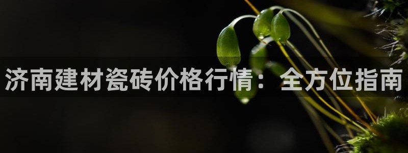 杏鑫娱乐开发团队