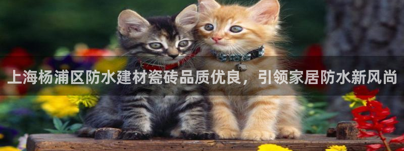 杏鑫平台平台娱乐