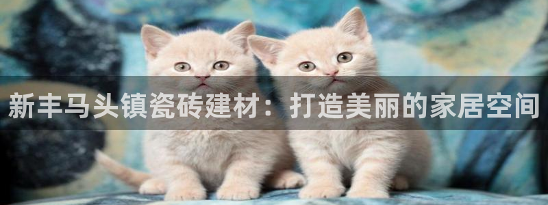 杏鑫手机客户端