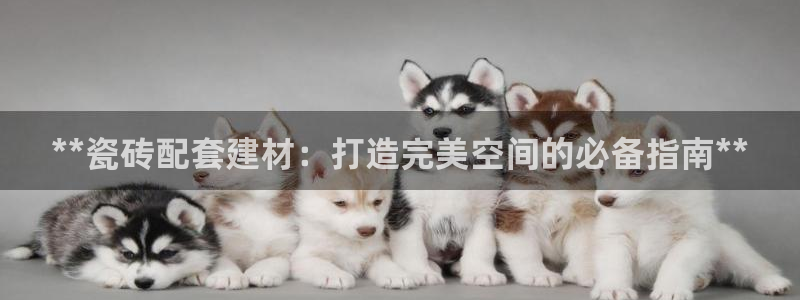 杏鑫平台招商怎么样