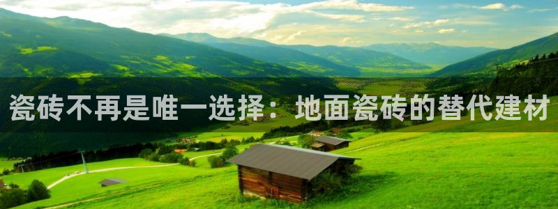 杏鑫平台怎么样