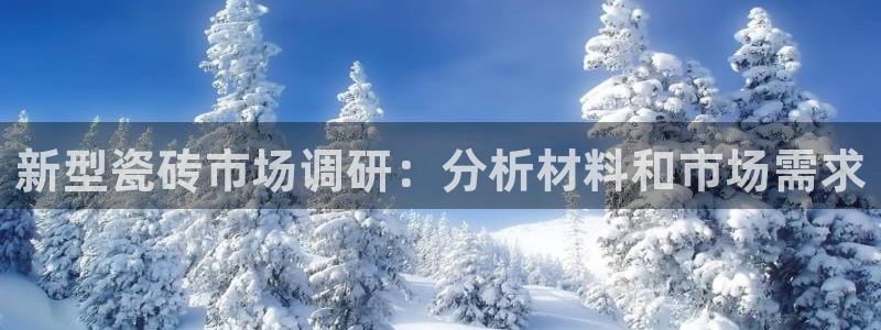 杏鑫官网最新信息
