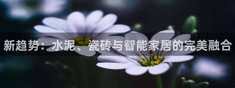 杏鑫平台直属