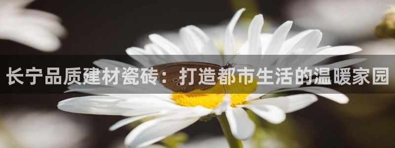 杏鑫平台怎么样黑钱吗知乎推荐