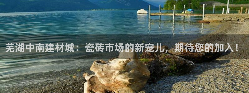 杏鑫平台招商电话