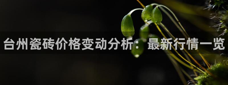 杏鑫平台测速怎么样