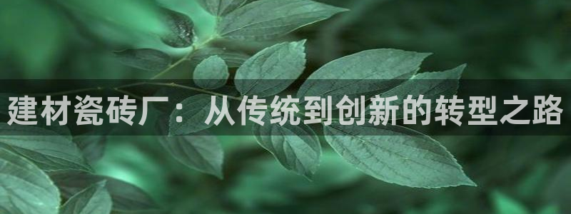 杏鑫平台平台娱乐