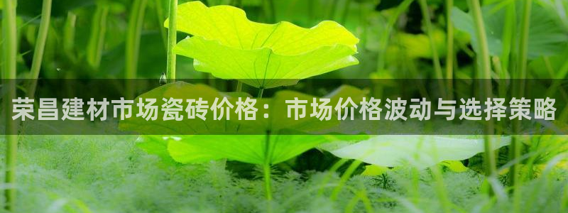 杏鑫平台测速