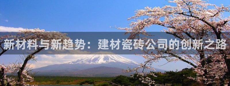 杏鑫官方平台怎么样啊