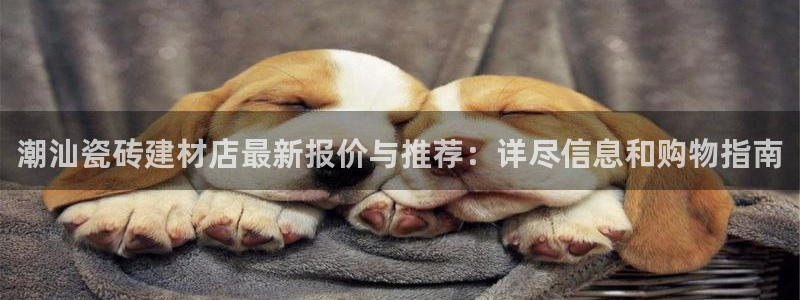 杏鑫官网最新信息